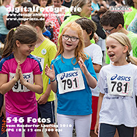 546 Fotos (2016)